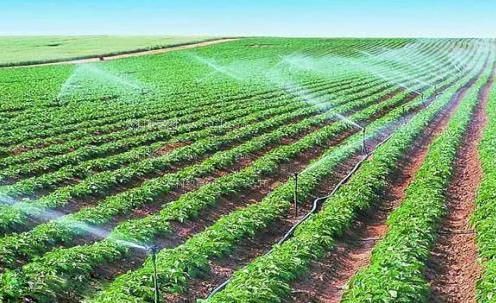 操逼的骚货农田高 效节水灌溉
